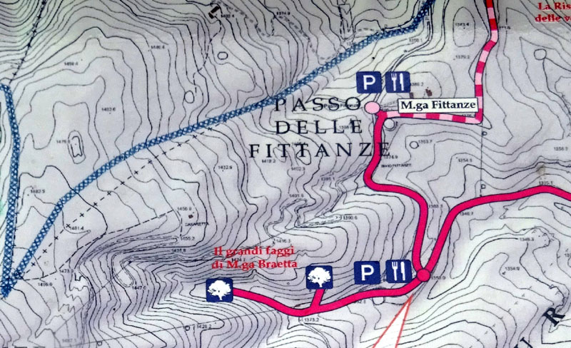 I grandi faggi di Malga Braetta - Lessinia (VR)